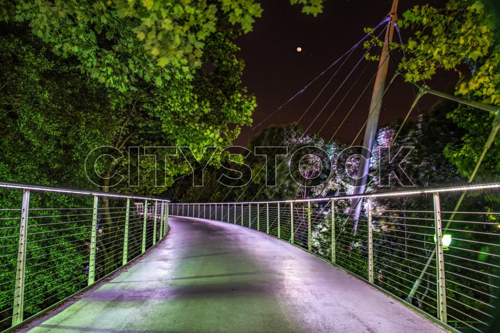 Suspension bridge at night under moonlight, Greenville, SC