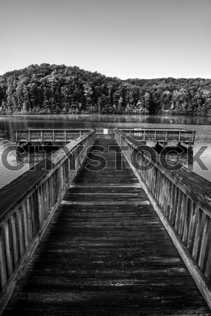 Black and white photo of wooden pier extending into lake in Greenville