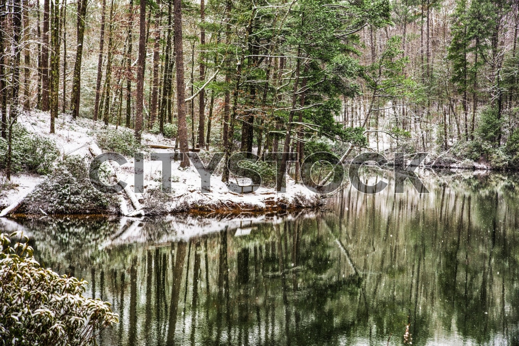 Snow-covered trees and tranquil lake in Greenville, SC