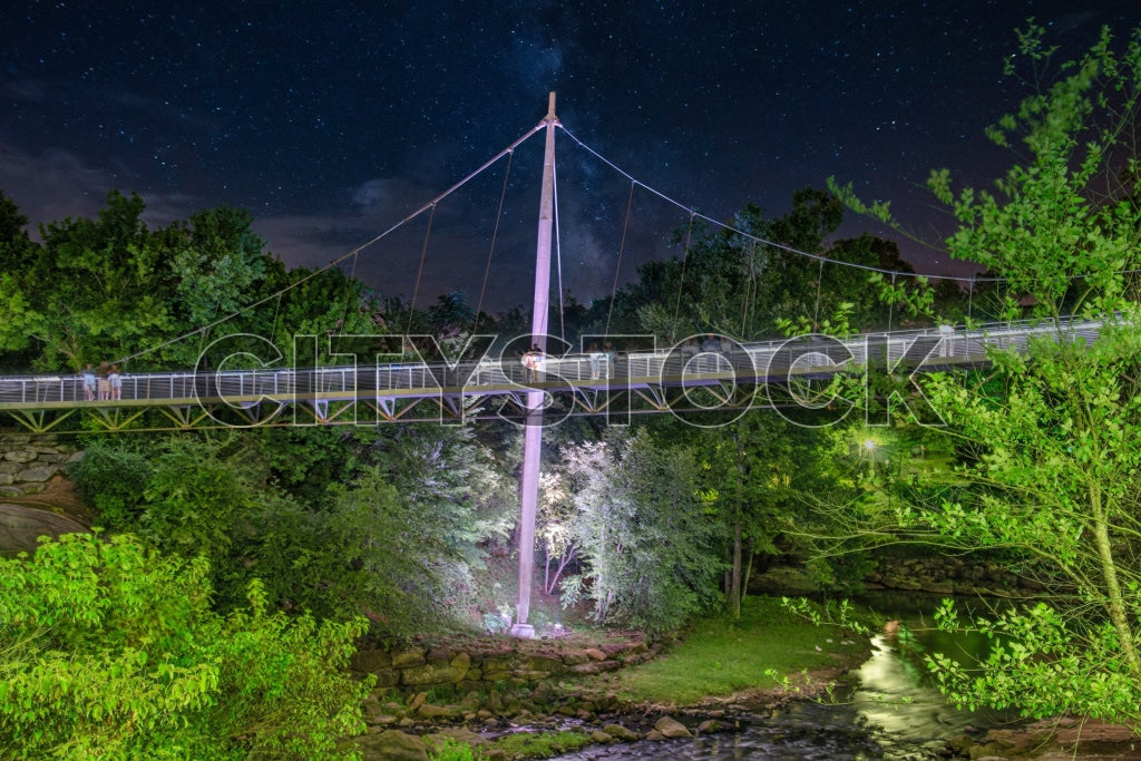 Greenville 399 Image