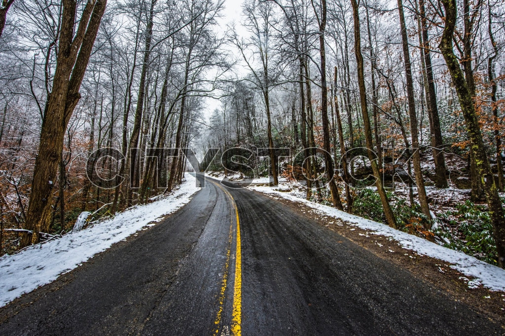 Snow-covered forest road with yellow lines in Greenville, SC