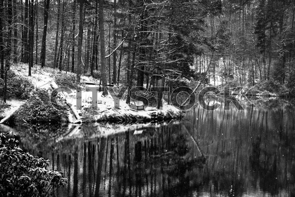 Black and white image of a tranquil forest reflecting upon a still pond in Greenville, SC