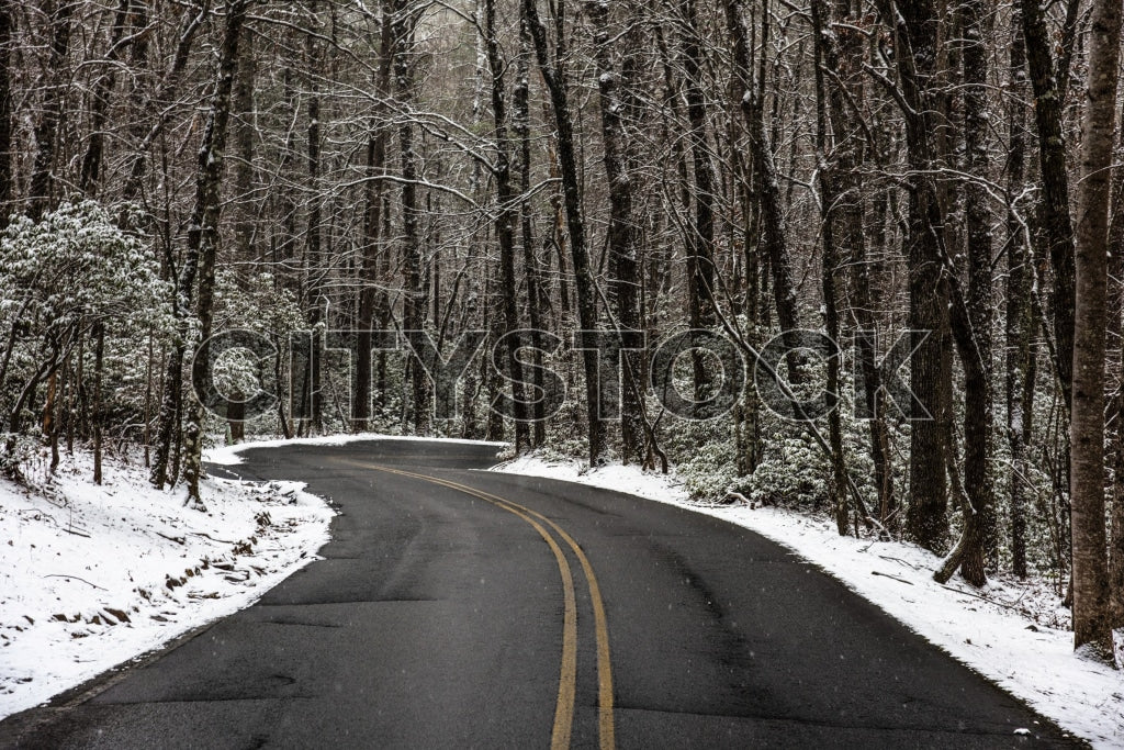 Snowy forest road in Greenville, South Carolina in winter