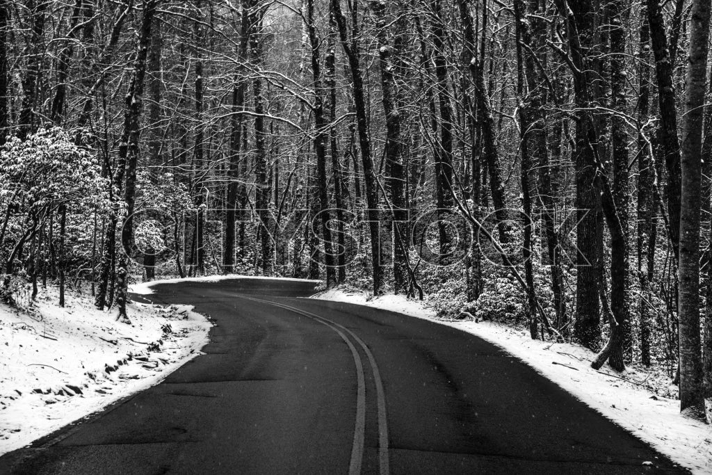 Black and white image of a snow-covered road curving through a forest