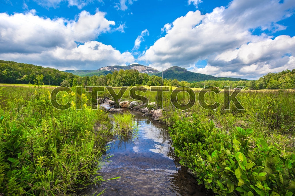 Greenville, SC landscape with stream, mountains and lush greenery