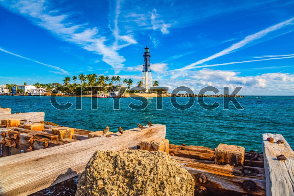 Lighthouse on Hillsboro Beach with lush palms and tranquil sea