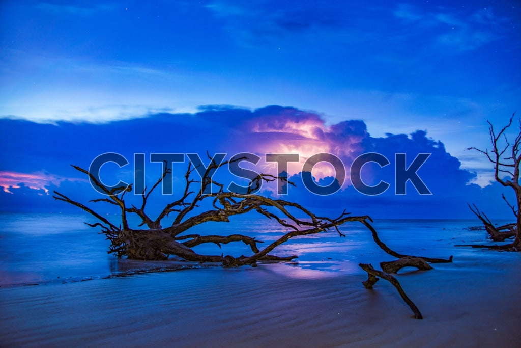 Early morning sunrise at Jekyll Island with striking driftwood