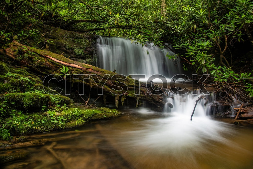 Serene waterfall in lush greenery, Kings Creek Falls, Brevard