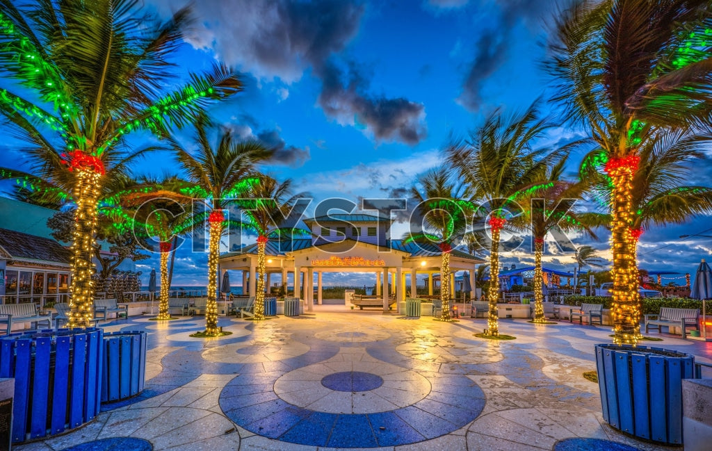 Festive lights on palm trees at twilight in Fort Lauderdale plaza