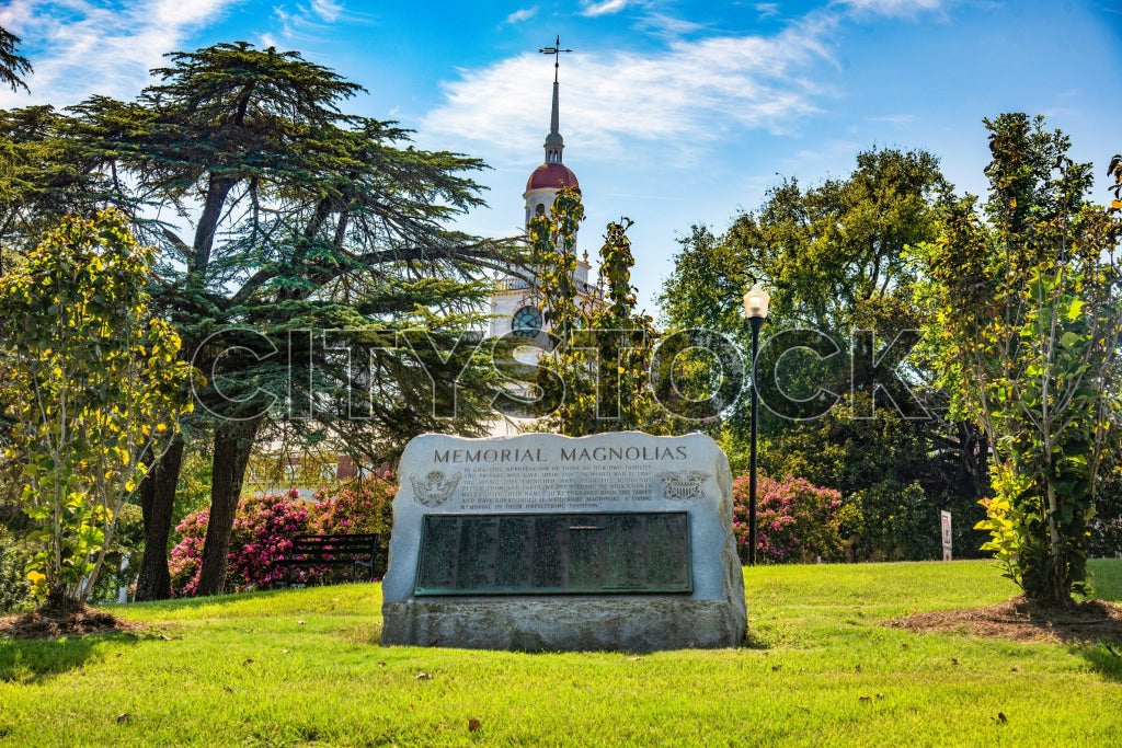 Memorial plaque surrounded by magnolias in Macon park