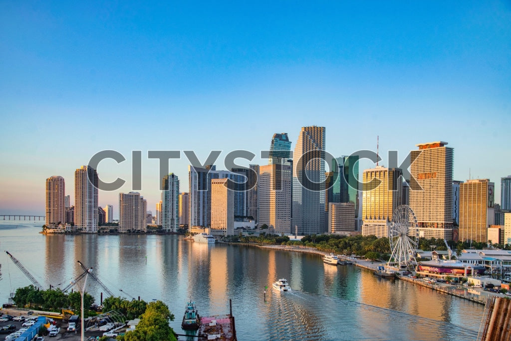 Miami 11 Image