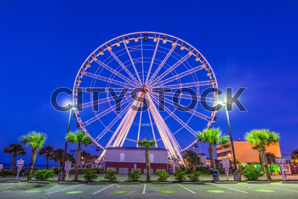 Luminous Twilight Ferris Wheel at Myrtle Beach