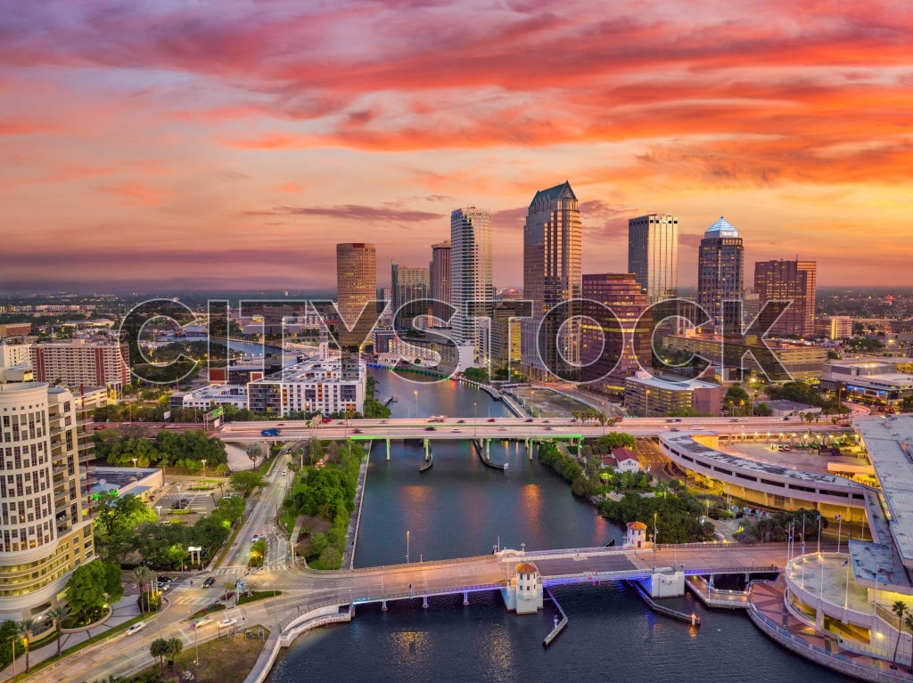 Tampa 6 Image
